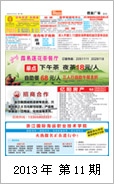 2013年电视报第十一期