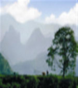 鲁吉文