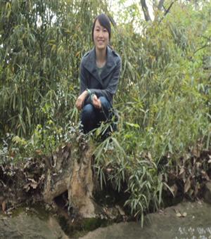 张菡璐
